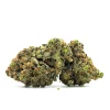 Demon Slayer Weed Strain Bud on White Background