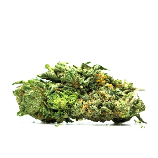 Pine Tar Weed Strain Bud on White Background