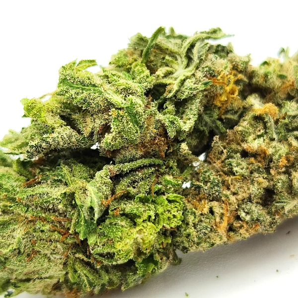 Pine Tar Weed Strain Bud Closeup Macro Shot