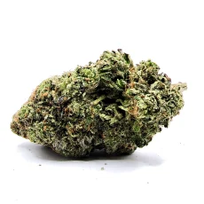 Pink Fox Weed Strain Bud on White Background