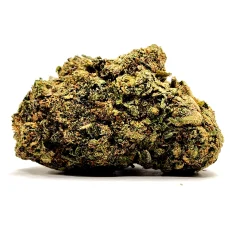 Pink Kush Weed Strain Bud on White Background