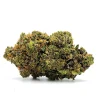Apocalypto Weed Strain Bud on White Background