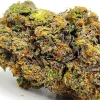 Citrus Samurai Weed Strain Closeup