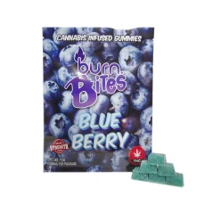 Burn Bites cannabis-infused gummies in Blueberry flavor, 500mg extra-strength package showcasing plump blueberries and blue gummy squares.