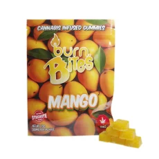 Burn Bites cannabis-infused gummies in Mango flavor, 500mg extra-strength package featuring golden mangoes and yellow gummy squares.