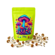 Mix & Match 1oz (28g) Magic Mushrooms