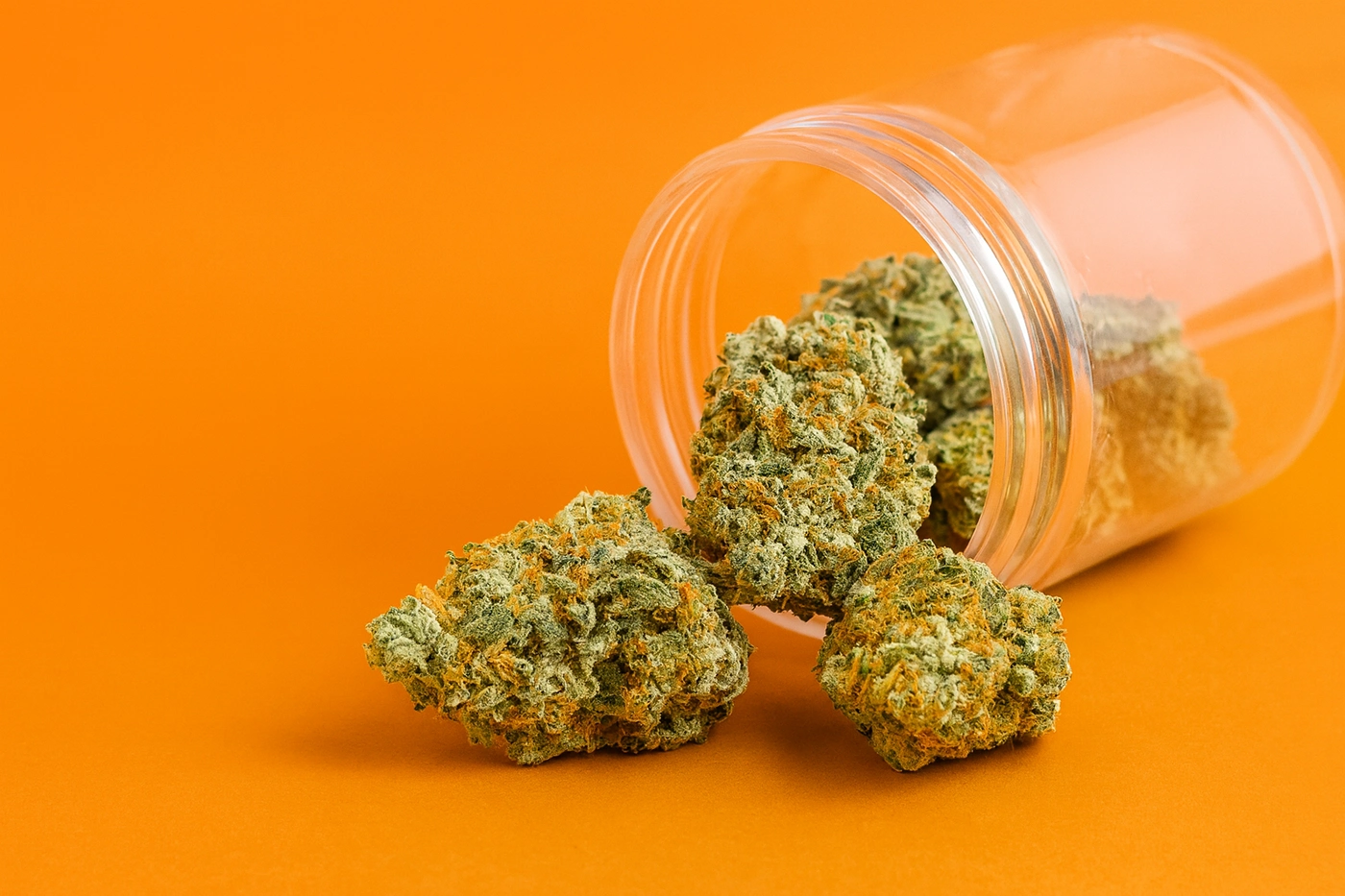 Tom ford pink kush strain buds spilling out of a clear plastic jar onto a vivid orange surface, with vibrant green and orange tones.