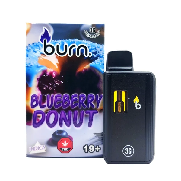 Blueberry Donut