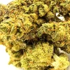 Blue Dream Strain Close Up