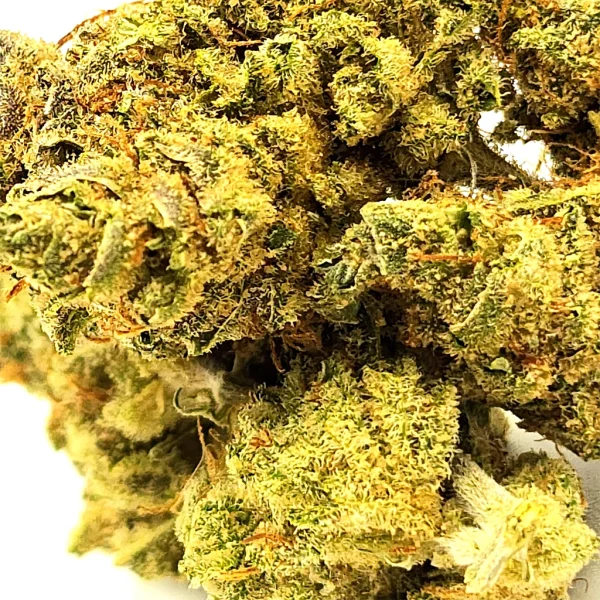 Blue Dream Strain Close Up
