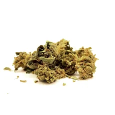 CBD Jam Strain