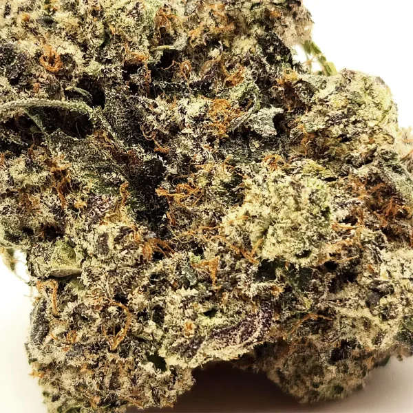 Donkey Butter Strain Closeup