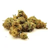 Jet Fuel Strain
