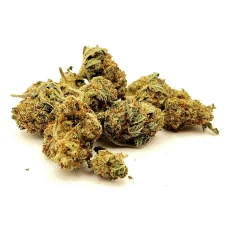 Jet Fuel Strain