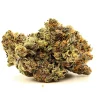 Pink Bugatti Strain