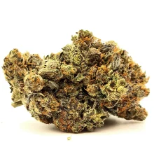 Pink Bugatti Strain