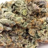 Pink Bugatti Strain Closeup