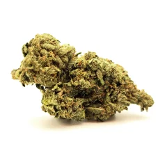 Platinum Bubba Kush Strain