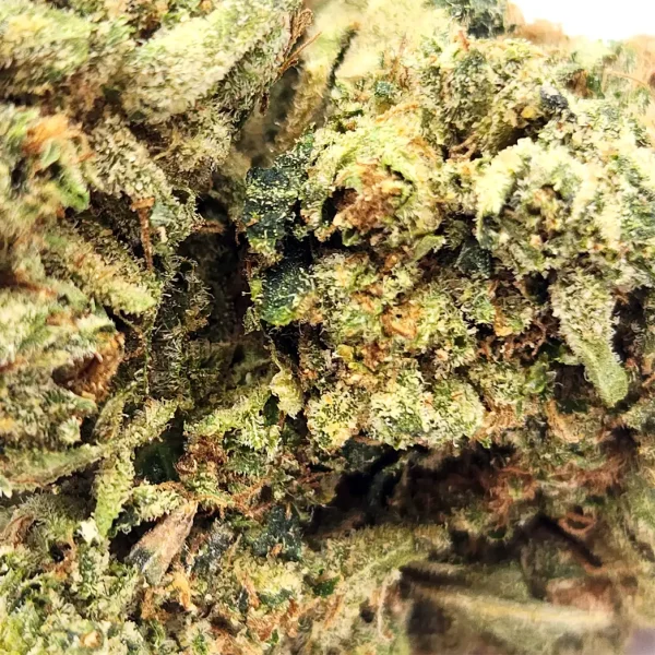 Platinum Bubba Kush Strain Closeup