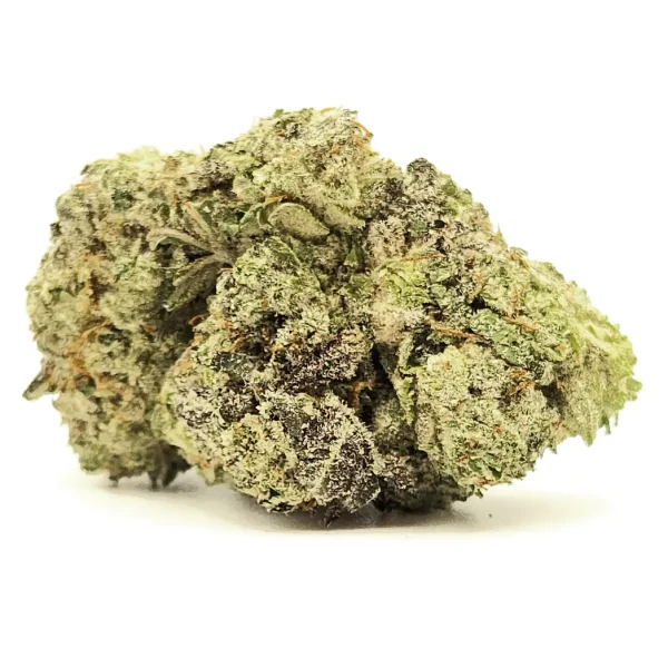 Purple Mimosa Strain