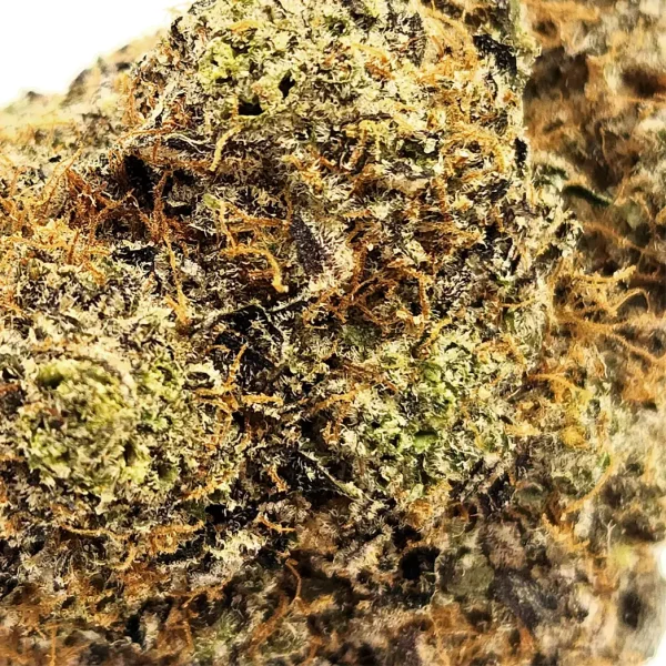 Razzberry Mints Close Up