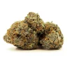 Zkittlez Strain
